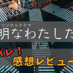 VedaoilsAloeVeraGelレビュー：透明な肌のための私の頼りになるソリューション – 私のピンクの窓から